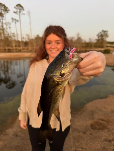 Southern Fishing Company Satilla Spin Lure with Caught Fish Images