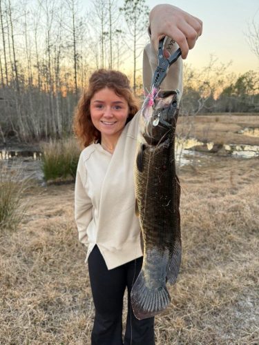Southern Fishing Company Satilla Spin Lure with Caught Fish Images