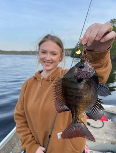 Southern Fishing Company Satilla Spin Lure with Caught Fish Images