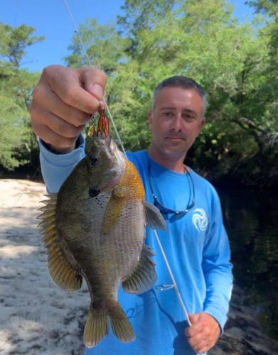 Southern Fishing Company Satilla Spin Lure with Caught Fish Images